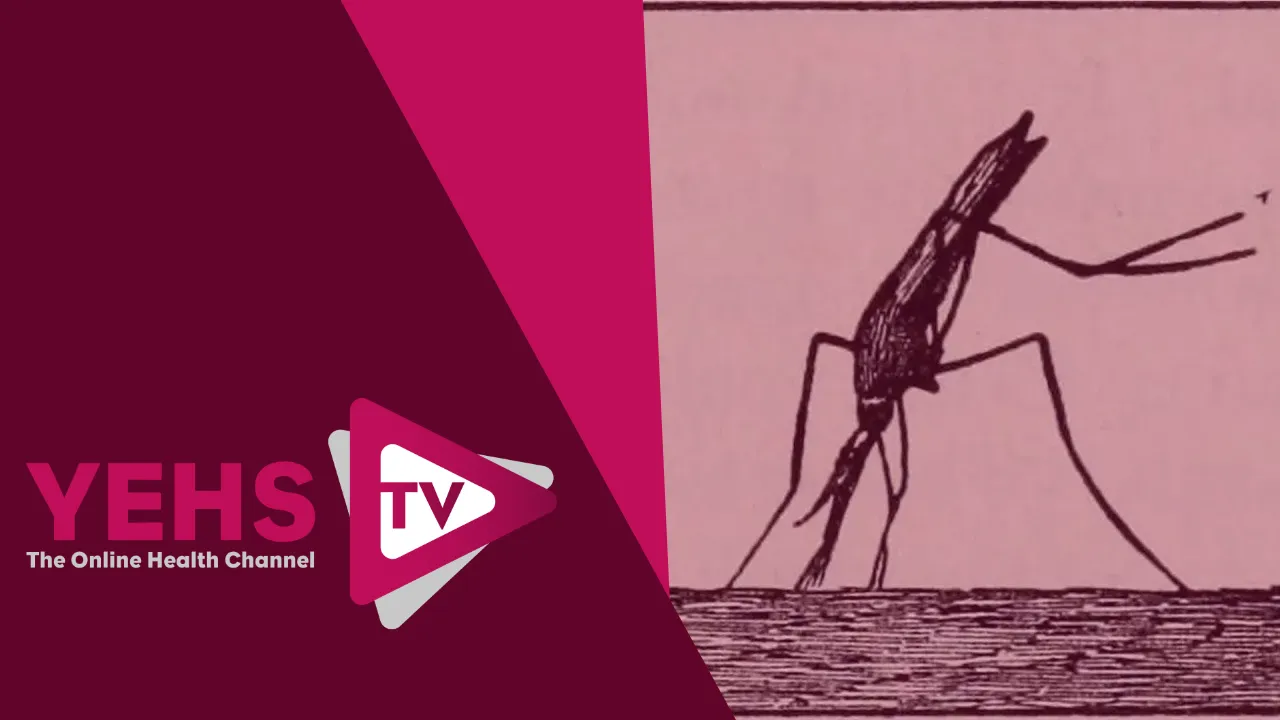 Yellow Fever Vaccine