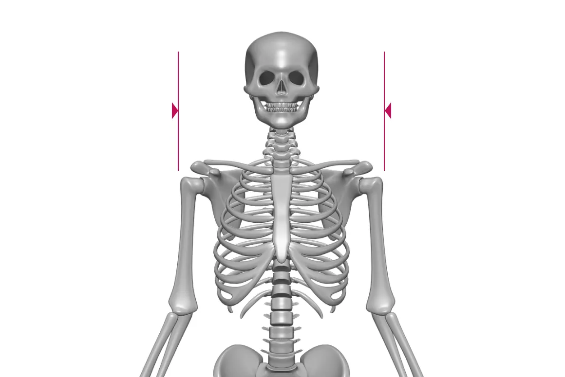 Bideltoid (Shoulder) Measurement